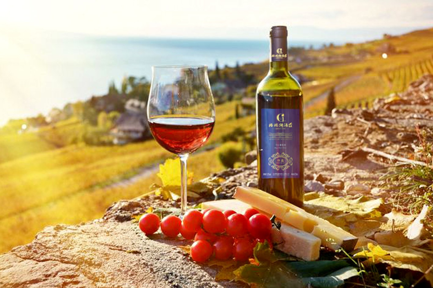 15487432717467.jpg 1.jpg