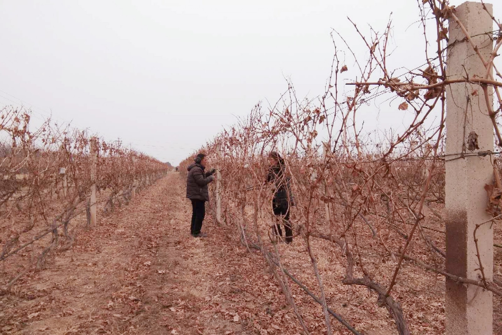 15507987225645.jpg 7.jpg