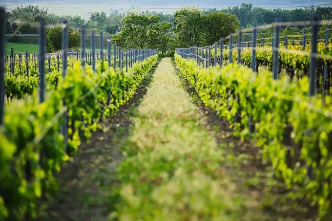 15540811493046.jpg 3.JPG