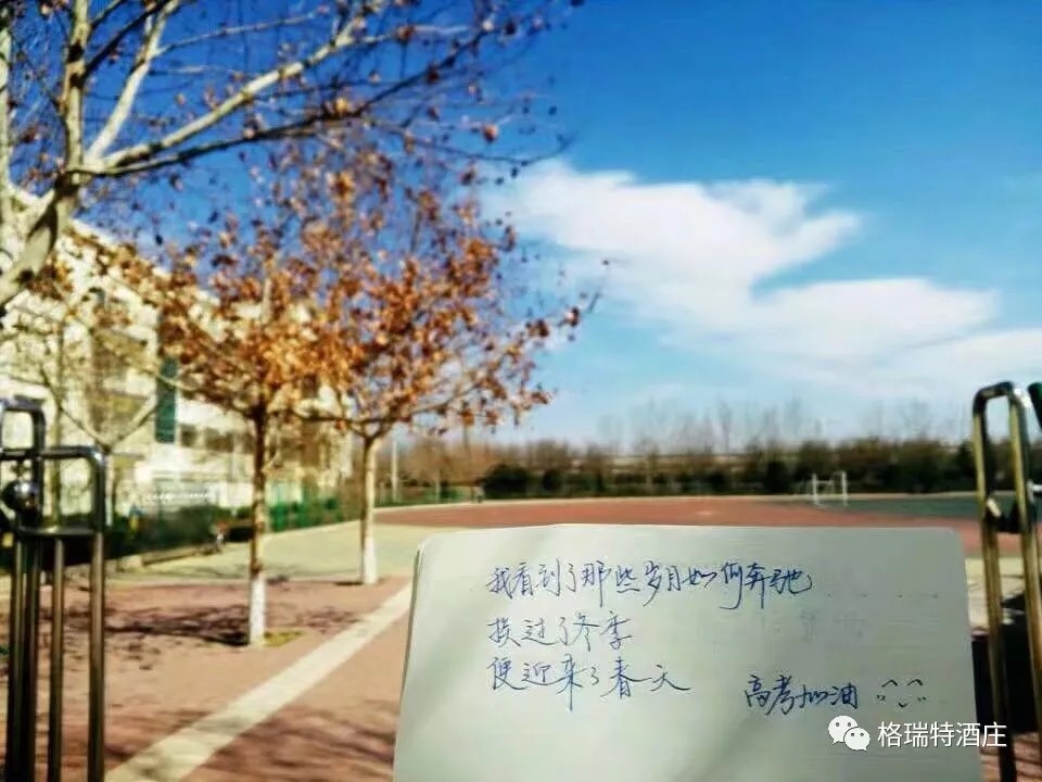 15601527064952.jpg 640.webp (2).jpg