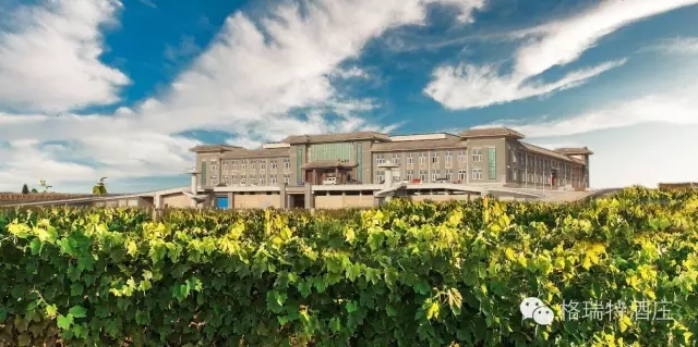 15601528007088.jpg 640.webp (7).jpg