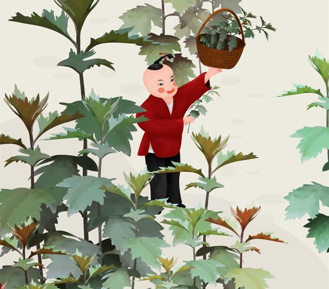 15710200209435.jpg d895e5b2f84021be9dc5cd3f535ca9ab2db348fe7cde1-eTa8eb_fw658.jpg