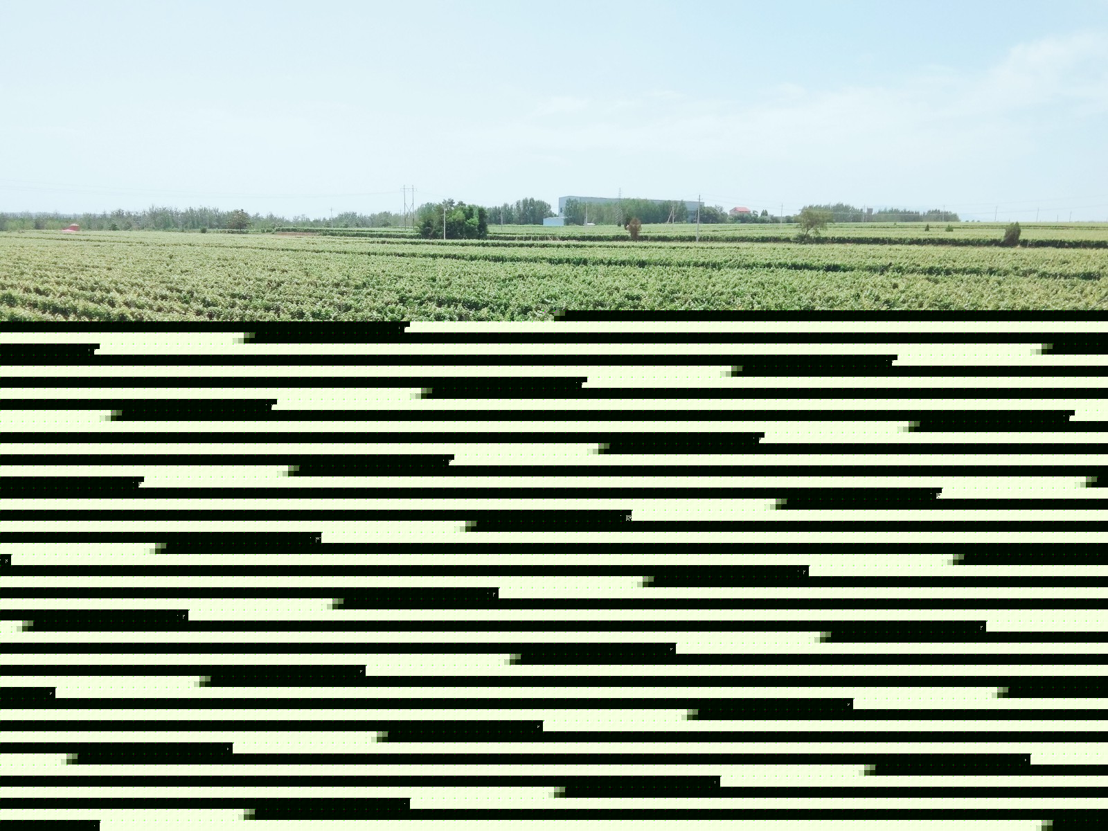 15710211175674.jpg 微信圖片_20190705143635.jpg