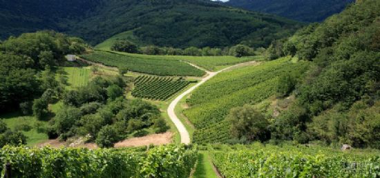 15712804129528.jpg 20150828140940399_s.jpg