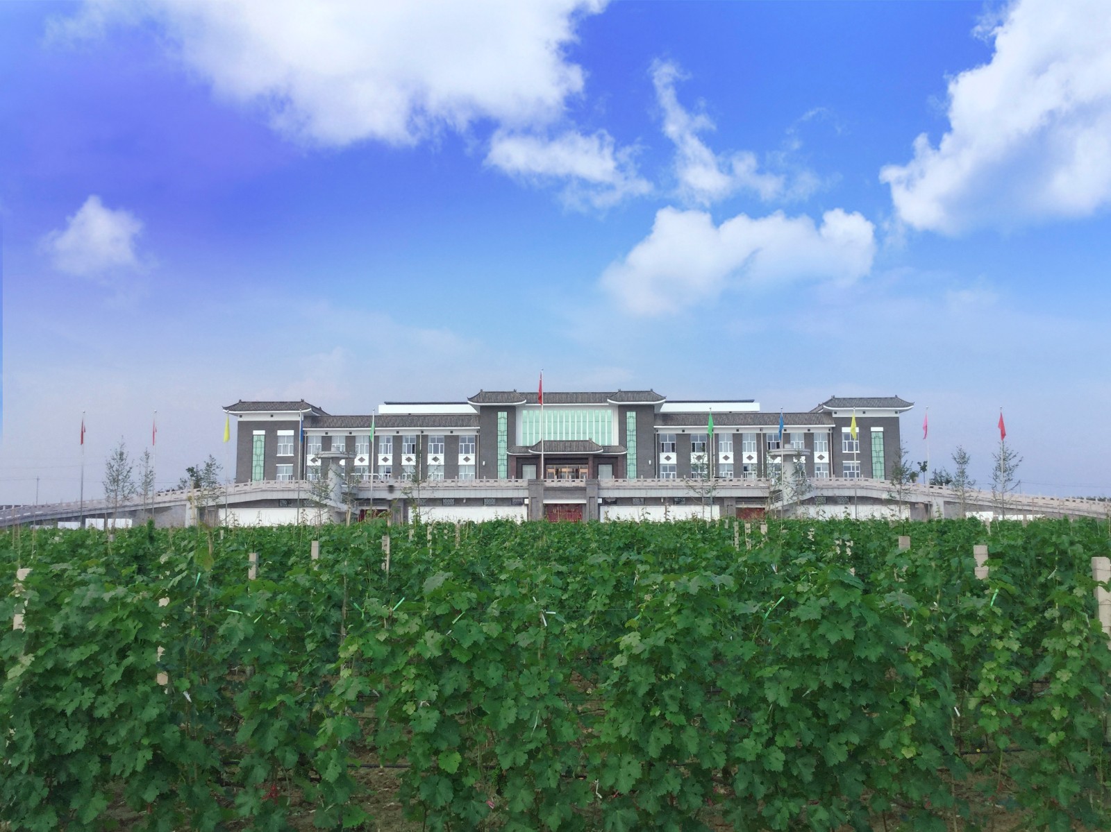 15712822496735.jpg 1.jpg