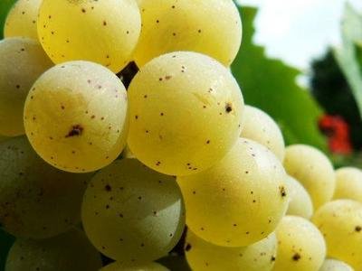 15712834125035.jpg t01e7645ff8fdd02b54.jpg