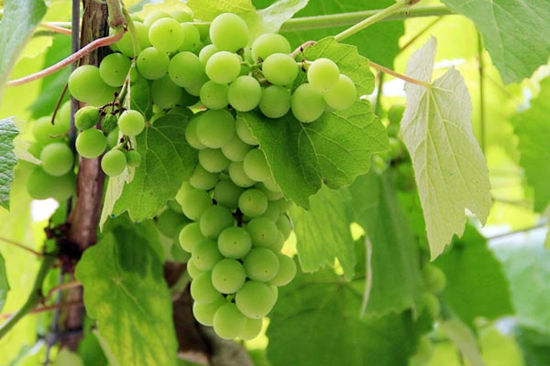 15712840927099.jpg f4fbf79c-2d71-45f6-bfe9-8656c9c43afe.jpg