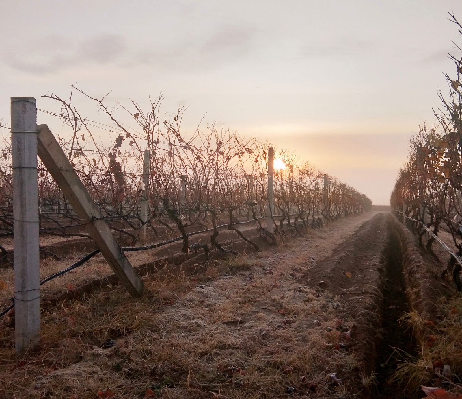 15756974479062.jpg 微信圖片_20191206100729.jpg