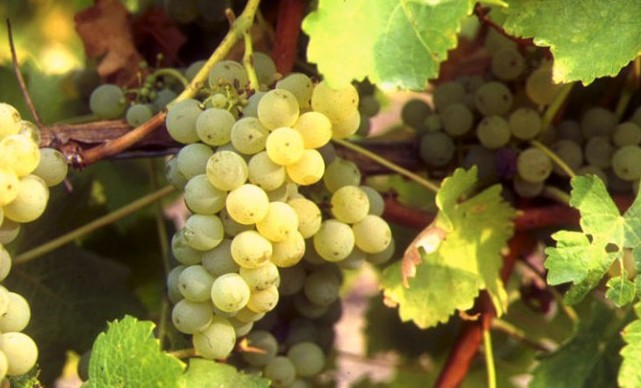 15763696402673.jpg 1.jpg