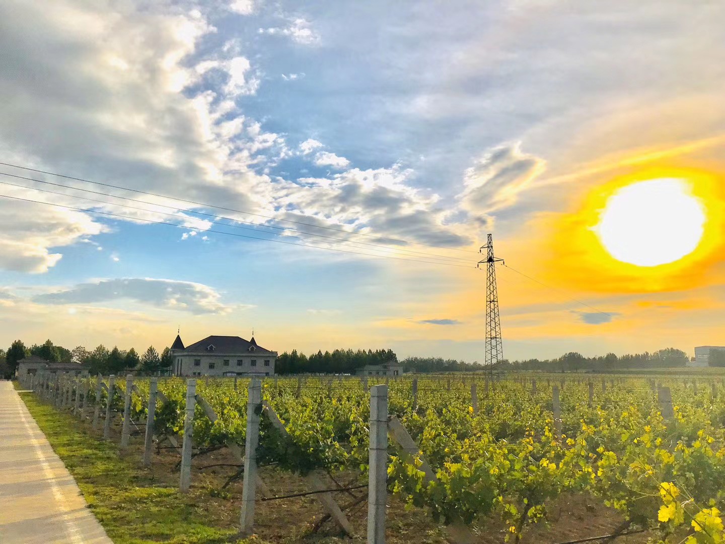 15995562447392.jpg 7b170b490b5a980f85ffa65acd3bb39.jpg