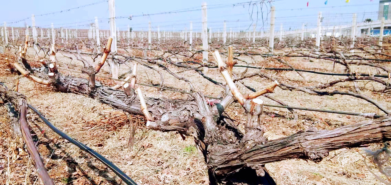 16179357959522.jpg 微信圖片_20210319094251.jpg