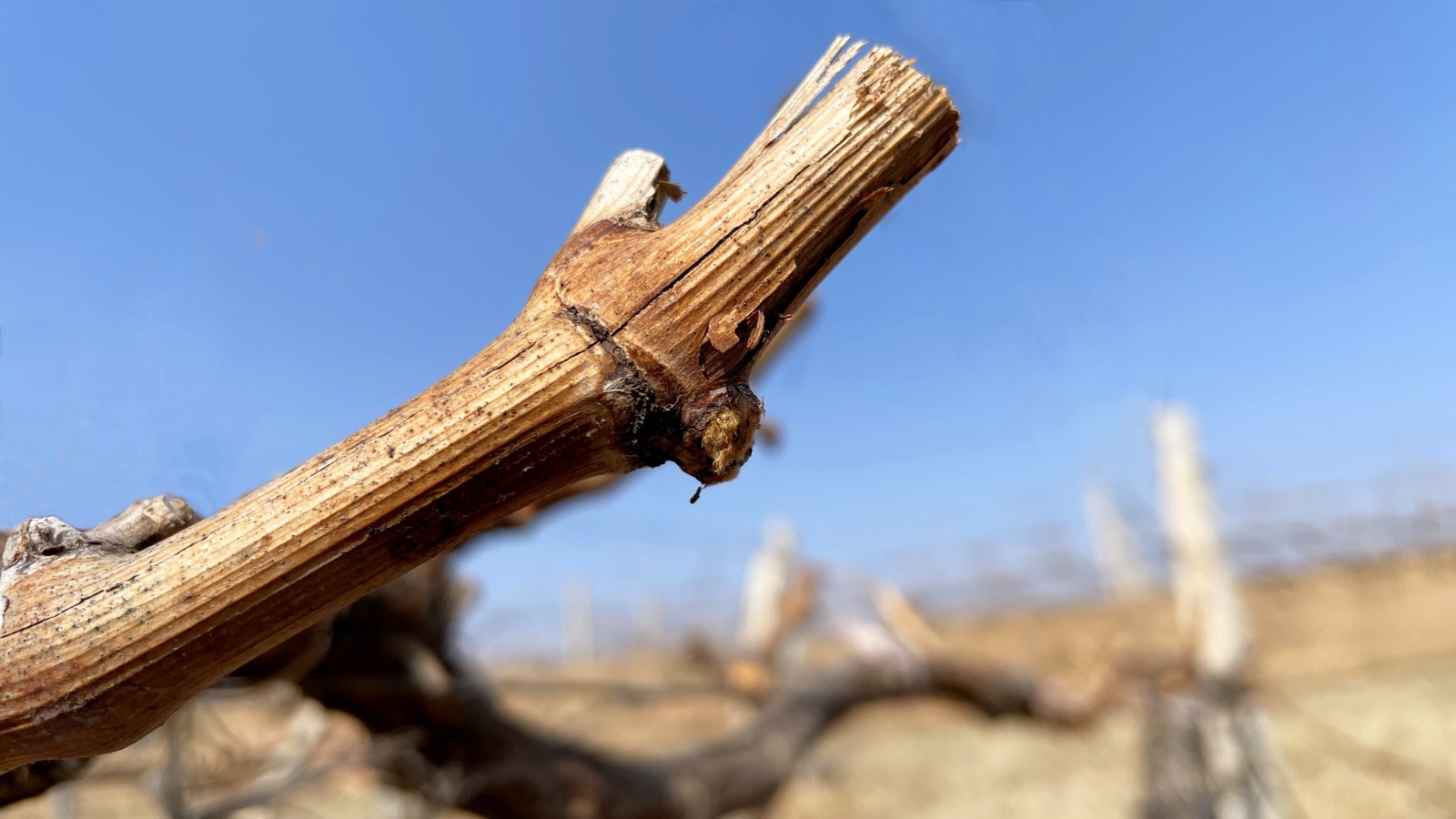 16193098418278.jpg 微信圖片_20210303143814.jpg