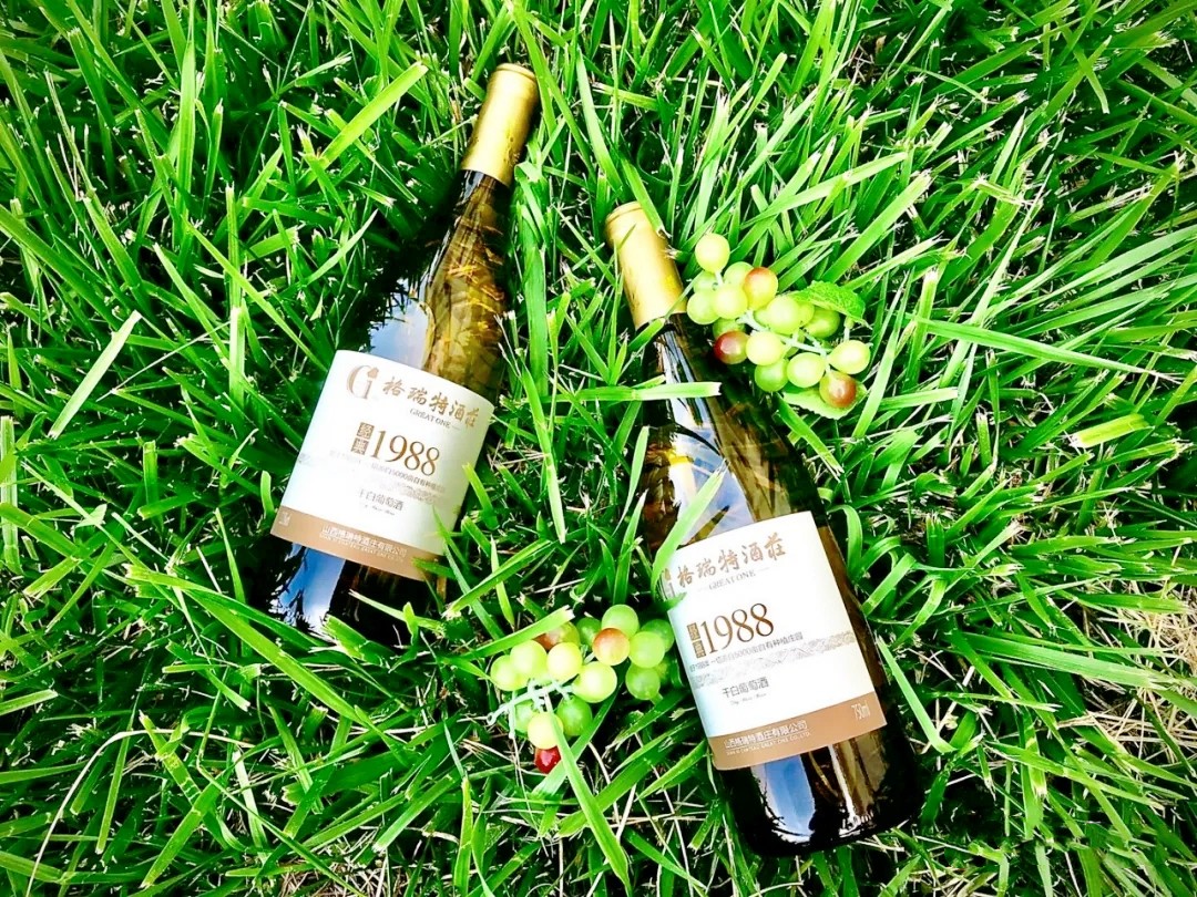 16381709286790.jpg 640.webp (9).jpg