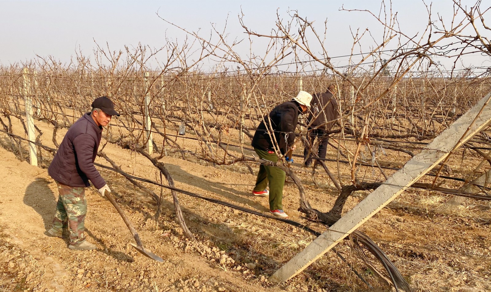 16393639395089.jpg 微信圖片_20211206111113.jpg