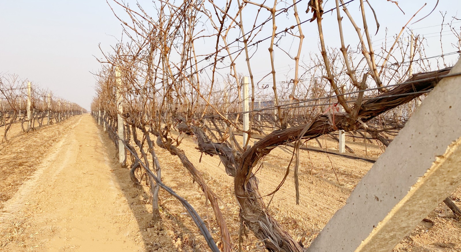 16393639578253.jpg 微信圖片_20211206111045.jpg