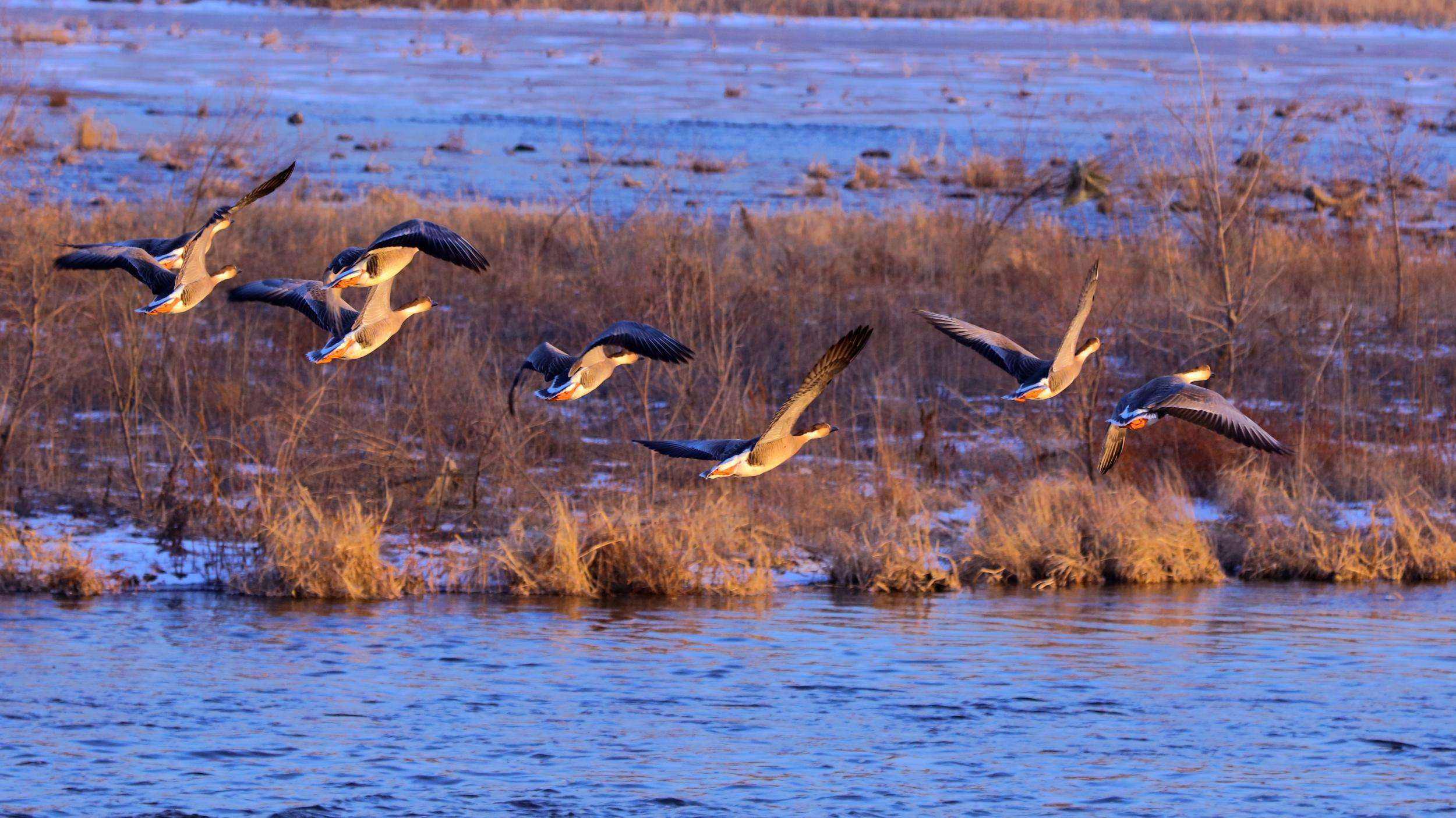 16455807523338.jpeg 847e1ee36918ecda54ef51d55ed33cbf.jpeg