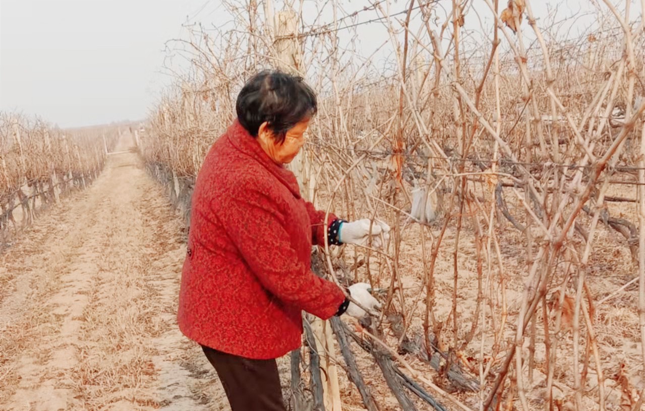 16455807834706.jpg 微信圖片_20220218093207.jpg