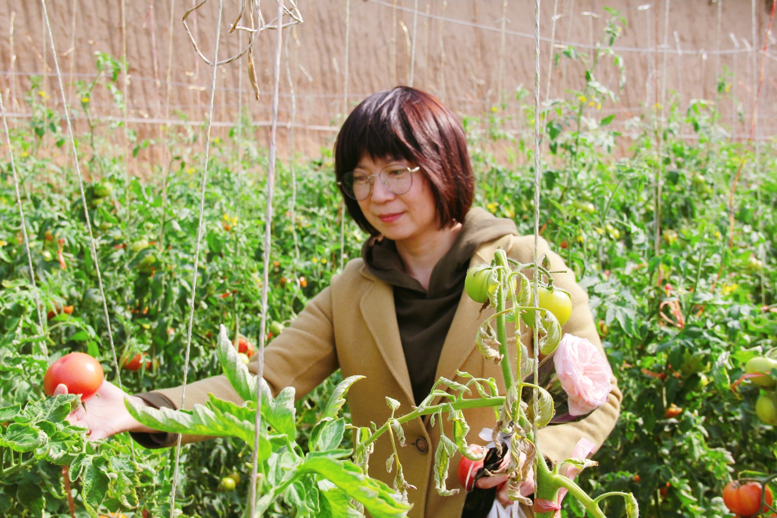 16468732656674.jpg IMG_4148_副本.jpg