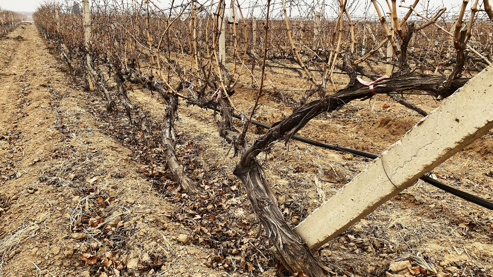 16745274747199.jpg 微信圖片_20230104143434.jpg