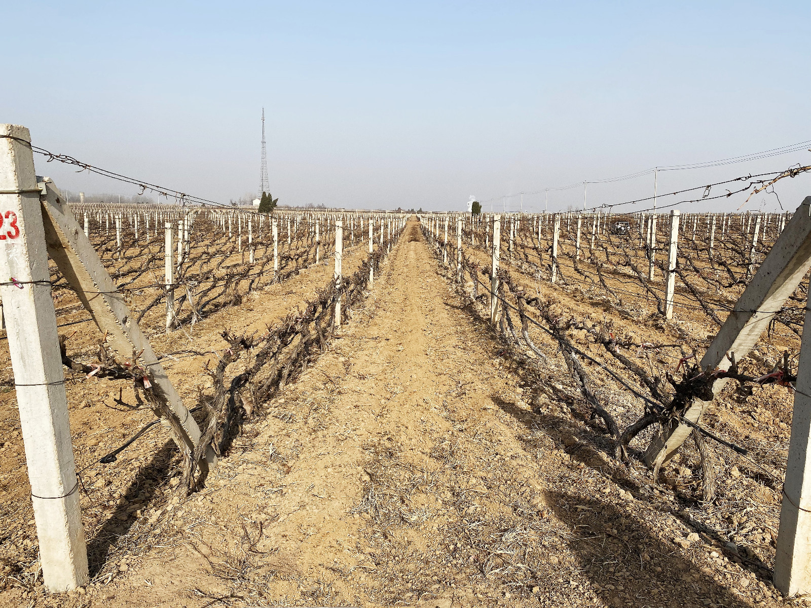 16783433676878.jpg 微信圖片_20230305092943.jpg