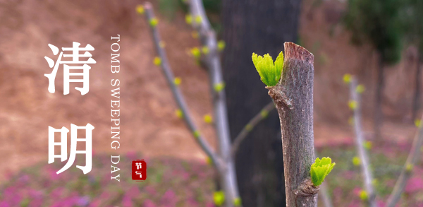 清明 ▎新風潤雨，萬物皆顯