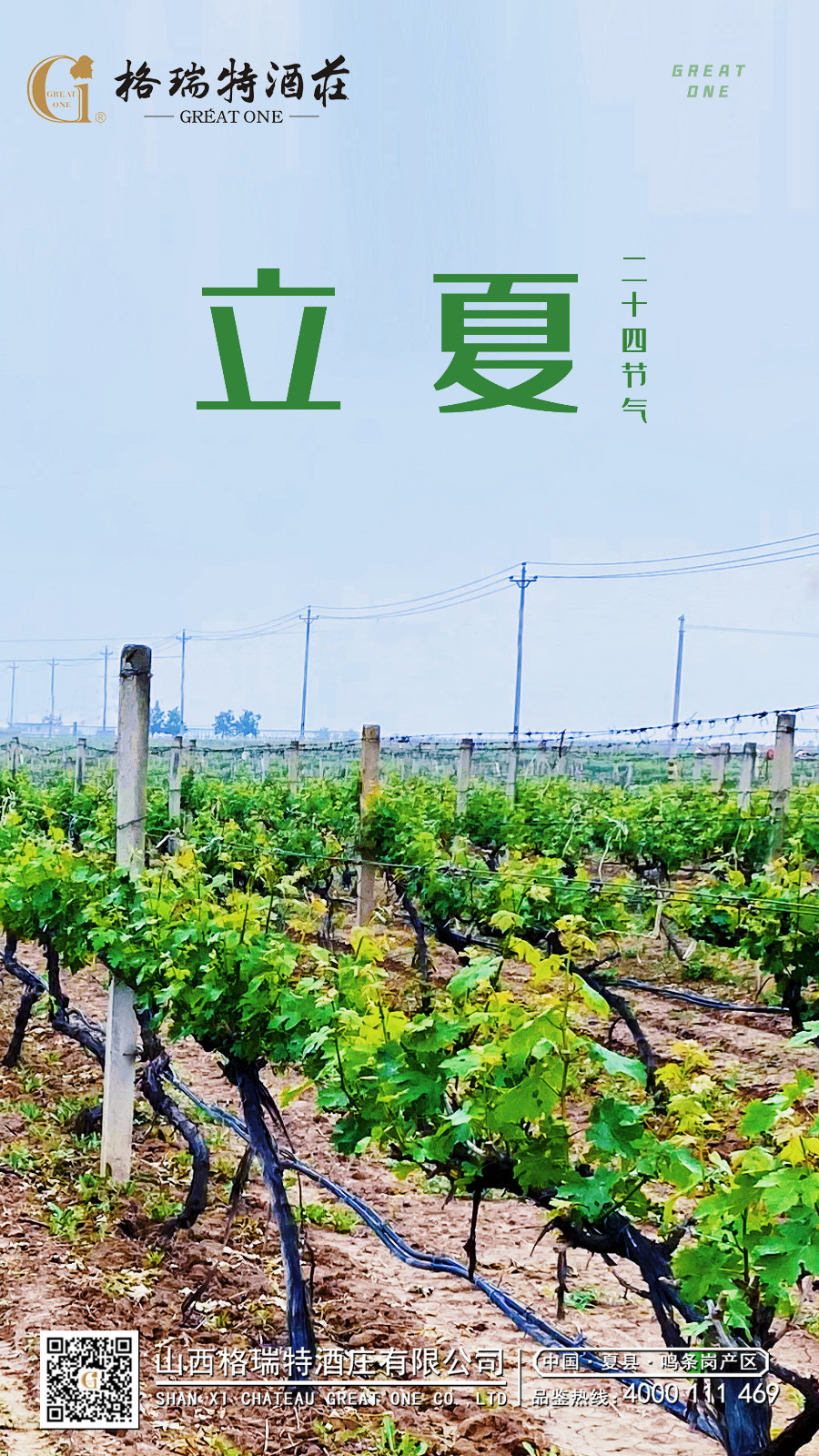 16833376912825.jpg 立夏.jpg