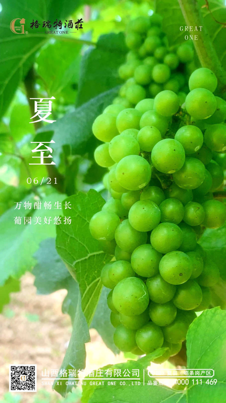 16905367984122.jpg 微信圖片_20230728173233.jpg