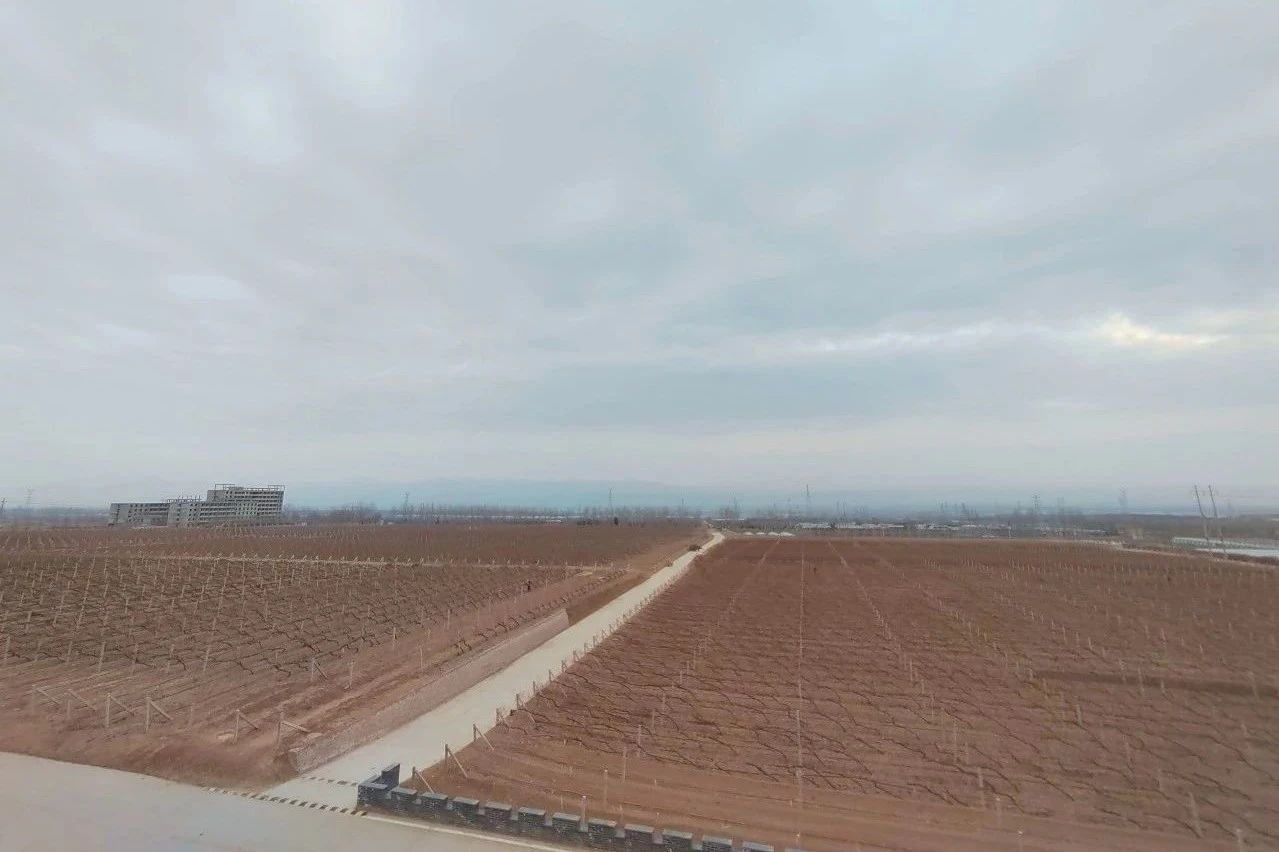 17114236963772.jpg 2d40b1bff8ca8b55093209c933749eab.jpg