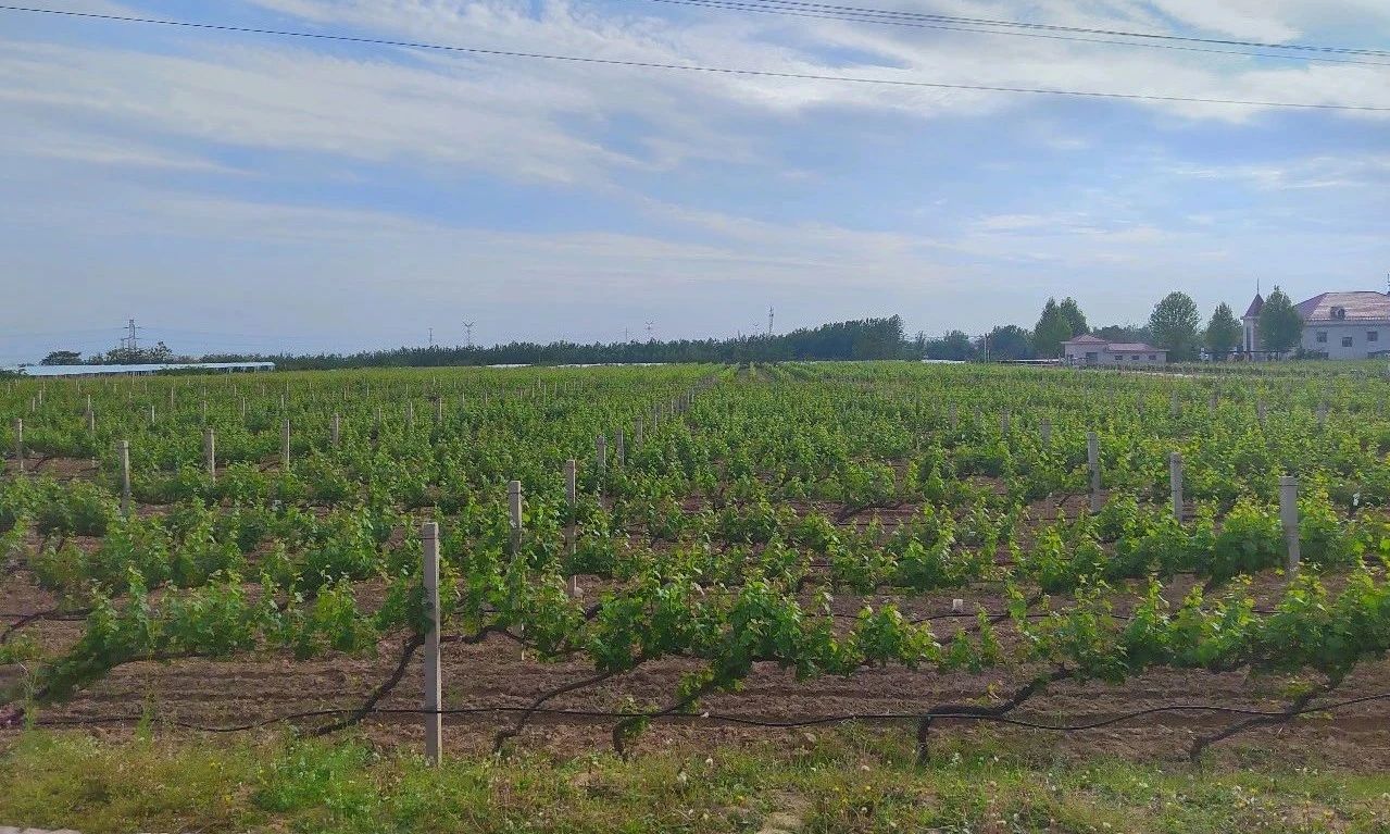 17161899115234.jpg c88f57787fd4175bb588a5eac1bfff86.jpg